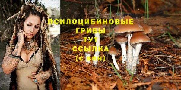 mix Нязепетровск