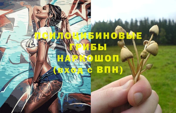 mix Нязепетровск